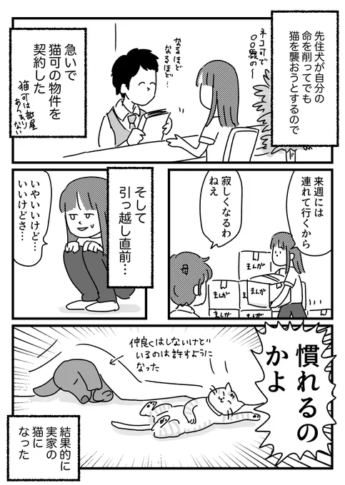 好きじゃなかった猫と向き合う話⑥(終)と忍者ラジオのゲストに出ましたなお知らせ 

詳細はブログに→
 https://t.co/StZ6DzcYVH 
それっきりワイルド過ぎる犬は見てないです。
というか犬と向き合った話でしたねこれ… 