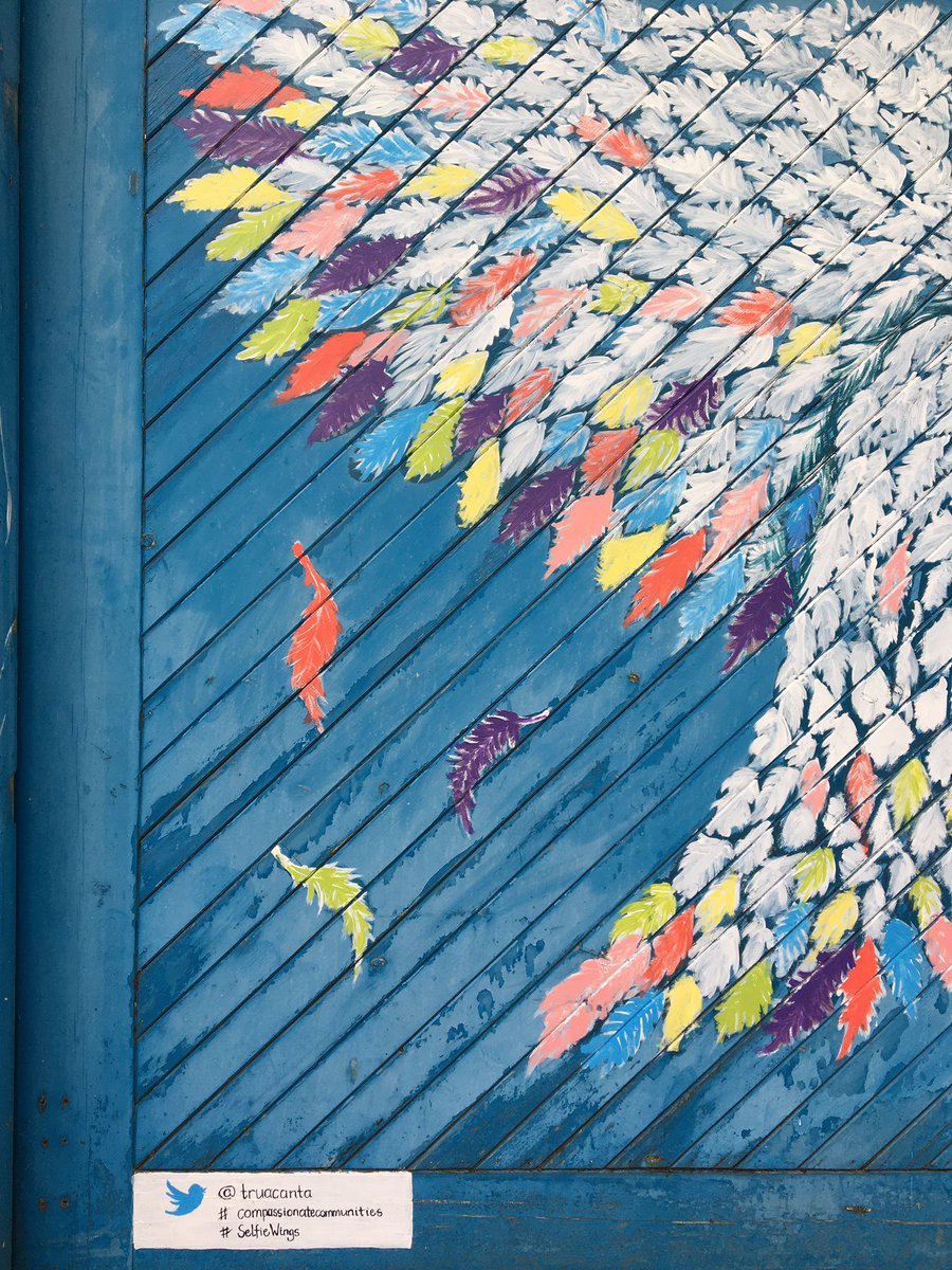 truacanta's tweet photo. “After nourishment, shelter and companionship, stories are the thing we need most in the world.” Philip Pullman. You can share your story on love, life and loss during #COVID19 at the #SelfieWings on the North Inch, Perth. #YouMatter #compassionateCommunities https://t.co/o0laYmjl7j