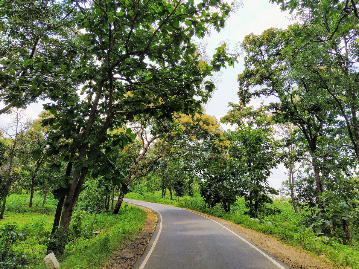 iAbhinayD's tweet photo. Travel sparks the imagination!

Beautiful road between Utnoor and Asifabad town. 

#RuralTelangana #Nature #Hyderabad https://t.co/wNArOOcPSC