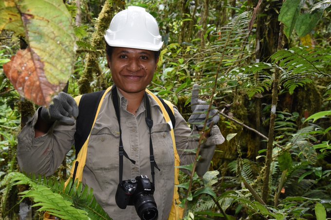 Anita Mosby.Anita is a Socioeconomic Advisor, whose hard work and dedication to Papua New Guinea’s biodiversity has been recognised with a new species of frog, the Copiula mosbyae, named in her honour.  #PNGWomenMatter