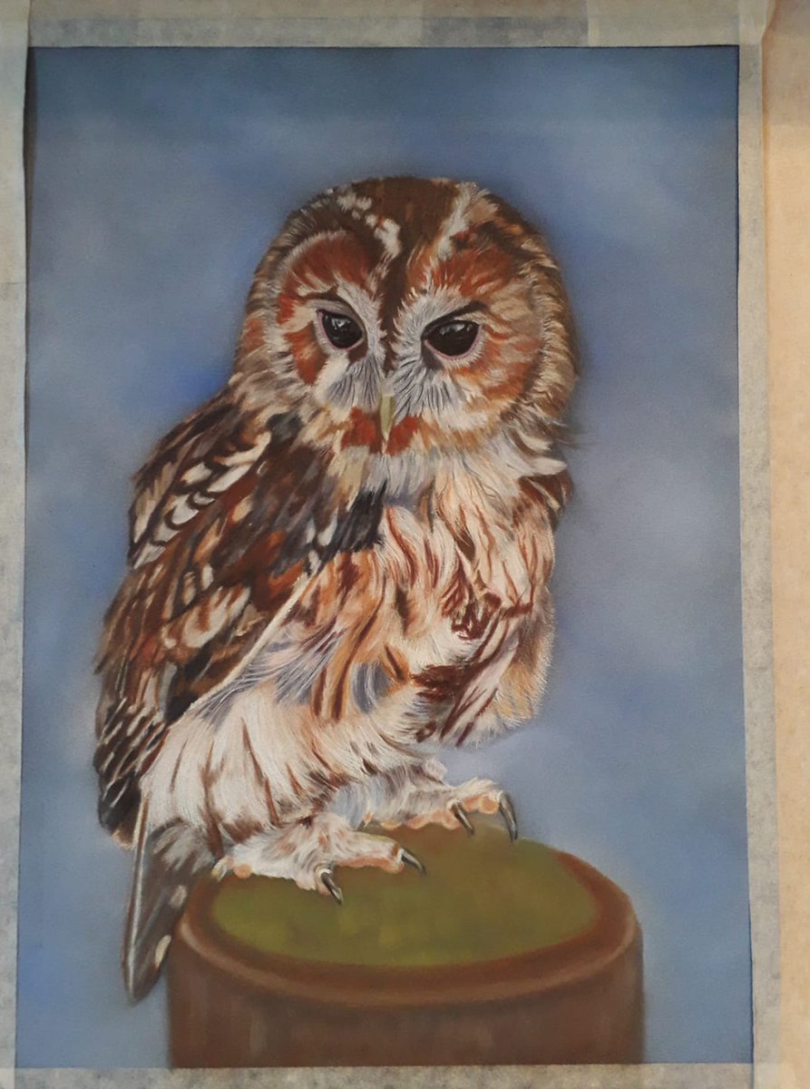 Association Of Animal Artists (@aaa_animal) on Twitter photo Member @karenmarkhamartist says this WIP is "Not quite finished...odd bits still to tweak", we think the colours in the feathers are lovely.
Karen Markham | pastels and coloured pencils on Pastelmat paper | Photo reference her own
artistsandillustrators.co.uk/karenmarkhamart
facebook.com/karenmarkhamar… Member @karenmarkhamartist says this WIP is "Not quite finished...odd bits still to tweak", we think the colours in the feathers are lovely.
Karen Markham | pastels and coloured pencils on Pastelmat paper | Photo reference her own
artistsandillustrators.co.uk/karenmarkhamart
facebook.com/karenmarkhamar…