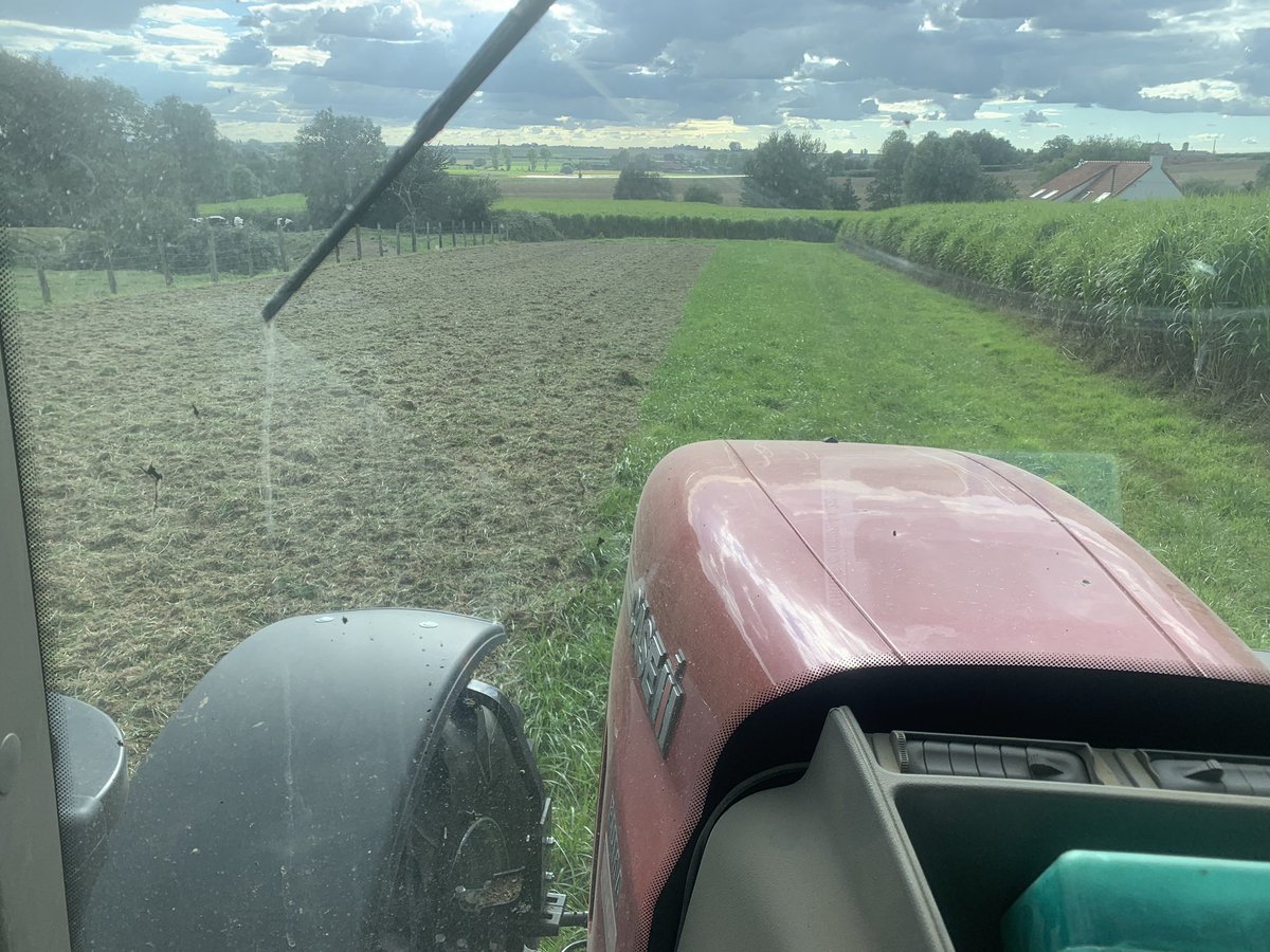 NotteauV's tweet photo. Mise en place d’essais en couvert permanent de luzerne. Directement herse rotative semoir dans des jachères vieilles de 18 ans. 10kg de #luzerne Fado et 3 kg de #colza semence de ferme. #acs https://t.co/zfqIq994hS