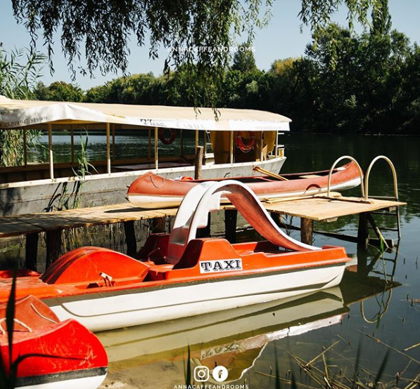 Pored brodice i kanua, moguće je iznajmiti i pedalinu za uživanje i zabavu po Velikom Bačkom Kanalu
#putovanje #srbija #kanu
#slatko #veselje #sombor #turizam #travel #vojvodina #vidisrbiju #seeserbia #domacikolaci #Welcome #dobrodosli #rooms #sobe #smestaj #annacaffeandrooms https://t.co/o4vpdV5Ll7