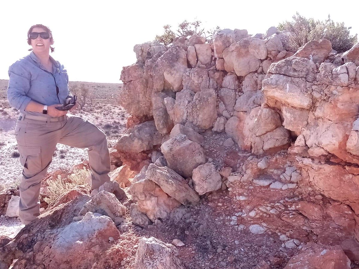 anna_chica's tweet photo. And fieldwork is done! We successfully completed our @CSIRO #Minerals collaboration and have a pile of vege and soil samples to send off.Thanks to my colleagues who helped with sampling and morale - especially Liz Jagodzisnki, Mark Pawley and @ajr_geo ! #GSSArocks @DEM_sagov https://t.co/od1ERQpDZP