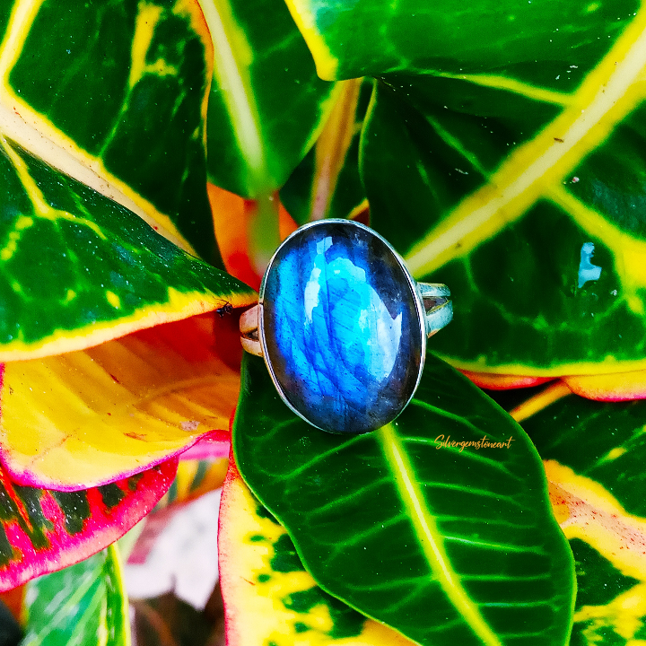 PriyaSh91439018's tweet photo. Natural Labradorite Ring
Buy At
https://t.co/lMAnWoDjek
#labradoritering #labradoritejewelry #925silverring #labradoritesilverring #silverlabradoritering #giftforher #bluestonering #healingring #eengagementring #midiring #giftideas #wife #usa #uk #germany #australia #bohoring https://t.co/5zJyVZ8j7k