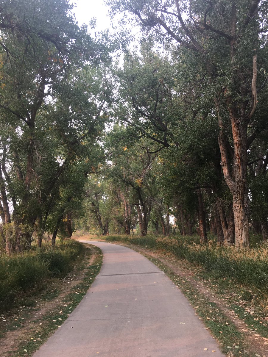 J_Motoki's tweet photo. Yesterday’s ash and today’s snow 
#ColoradoFires #ColoradoSnow https://t.co/rOEGDPge1L