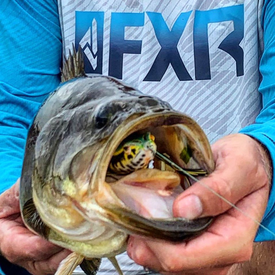 Viciousfishing's tweet photo. ‘Tis the season for Vicious braided line and topwater frogs! #viciousfishing #getvicious #viciousbraid #topwaterfishing #frogfishing
@StCroixBassMan https://t.co/ReGc3SOeo3