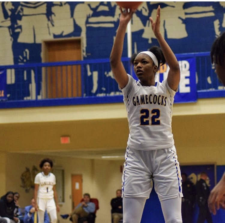 ChiffonHodge's tweet photo. I'm super excited for Layken Cox on her committed to GWU WBB!💪💪💪💪♥️♥️♥️
#SCFuture💚🖤
#Sumtergamecocks💛💙
#runninbulldogs🐾 https://t.co/u65rLiNoWc