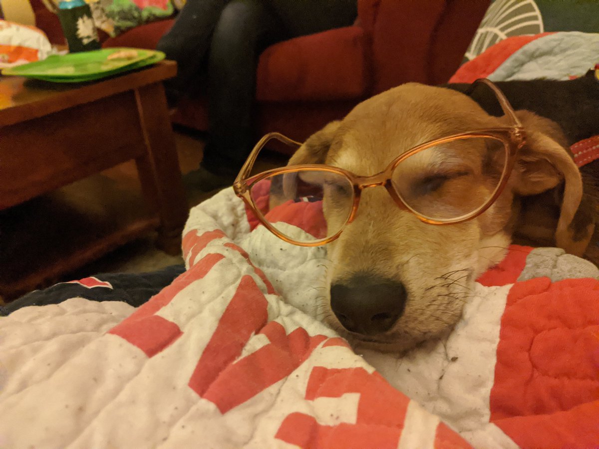 PhD Pal (Cal) 
Study so hard you fall asleep with your glasses on.