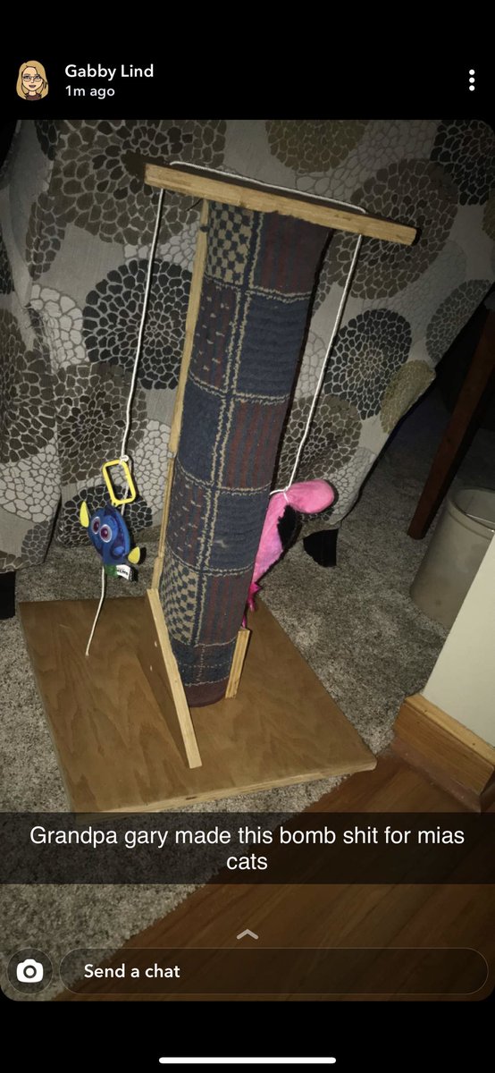 miawittenberg's tweet photo. ok how cute are my grandparents - first my gpa hand made them a scratching post and now gma bought them a cat tree... spoiled fuckers❤️ https://t.co/Rxj5KKXFME