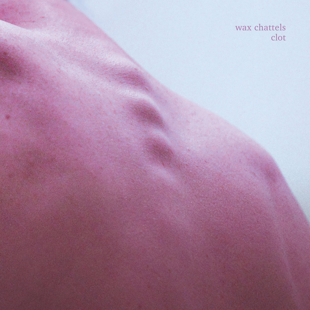 RadioActivefm's tweet photo. Today's #hatchedtrack is 'Cede' by @waxchattels. Tune in every day at 2pm to hear freshly hatched Kiwi tunes. Hatched is made with the support of @nzonairmusic
Listen to 'Cede' here: https://t.co/cdP0XUPpOn https://t.co/GMqczE3Zq0