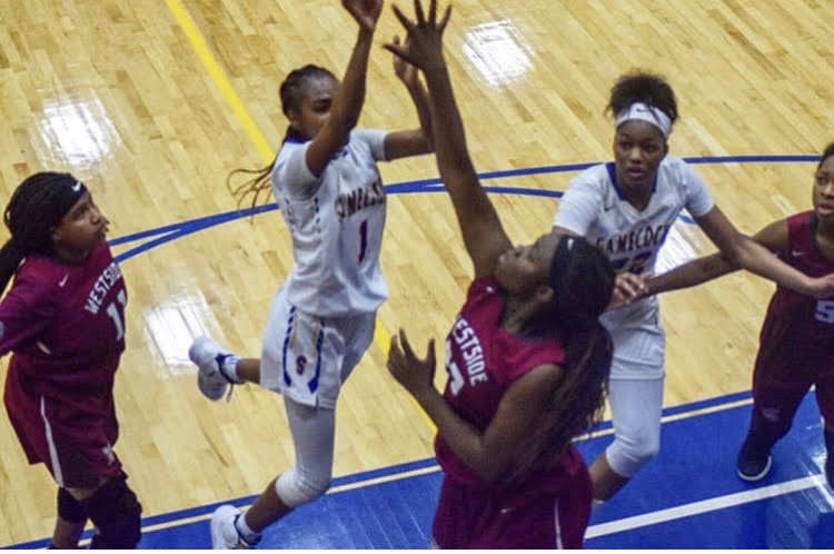 ChiffonHodge's tweet photo. Can't wait to see these two in action again together!!! From SC Future ➡️ SHS gamecocks ➡️ GWU WBB "runnin bulldogs!"💪💪♥️🖤
#803💪
#SCFuture🖤💚
#SHSgamecocks💙💛
#Runninbulldogs🐾🐾 https://t.co/ltRi8fJ2Yn