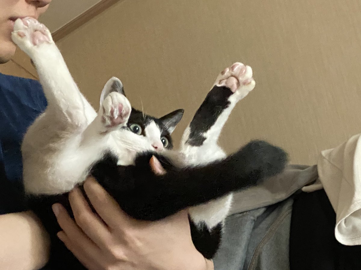 여전히 귀엽고 씩씩하고 야무지게 잘 지내는 요즘입니다