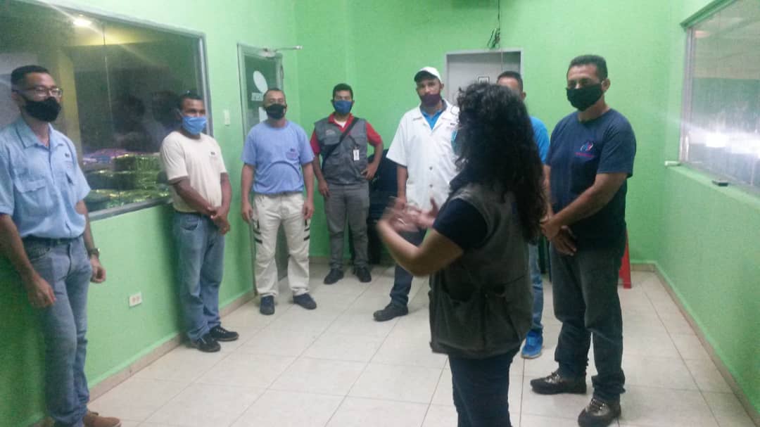 InpsaselA's tweet photo. En victoria siempre con nuestra clase obrera. #InpsaselApure orientando sobre las medidas básicas de prevención al COVID 19. Empresa Mercatradona C.A 102 trabajadores impactados. @NicolasMaduro @eduardopiate2 @geovannireuma @minpppst_apure @Inpsasel_vzla https://t.co/1pyUZLapmJ