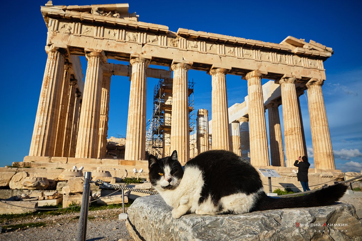 парфенон афинский акрополь. афины акрополь парфенон. греческий парфеном. греческий парфеном. храм парфенон в афинах.