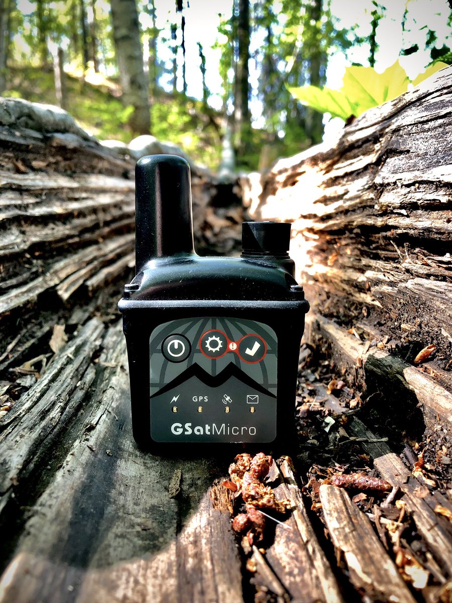 GSatUS's tweet photo. Gerald the GSatMicro took a deep dive into the Ozarks to get some fresh air this Labor Day, what did you do this year? #LetsGoMicro #GSatMicro #woods #forest #hike #hiking #adventure #adventureseeker #gps #gpstracker #satellite #laborday #holiday #longweekend #holidayweekend https://t.co/k6cU4GrJdV