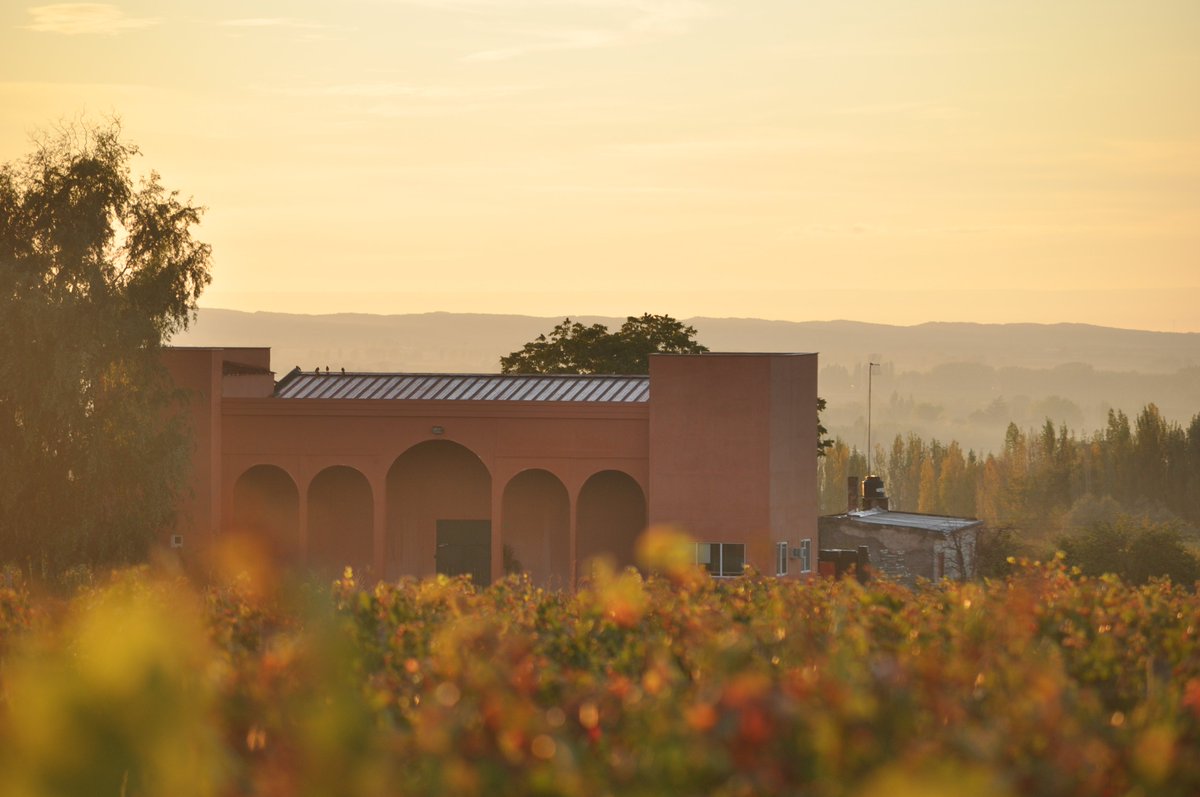RaffyZanchetta's tweet photo. 😍
#BodegaRaffy #RaffyZanchetta #Tupungato #VinoArgentino https://t.co/JQ6U91Obpc