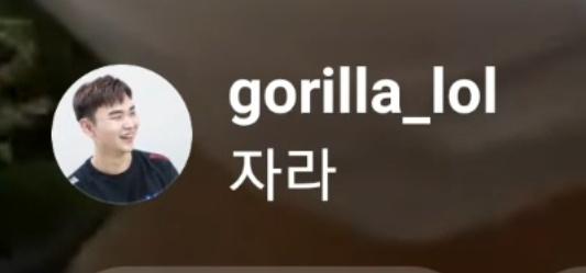 망고튤립 tweet media