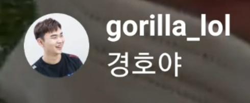 망고튤립 tweet media