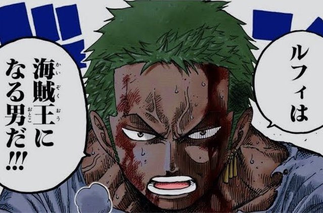 ゾロとサンジが全く同じ構図で同じセリフ言ってるのも最高なんだよな😘