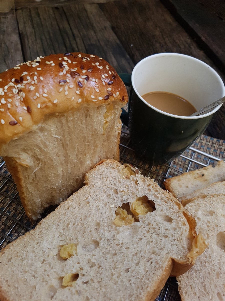 Jittikant's tweet photo. ขนมปังโฮลวีทลูกเกดจากยีสต์ธรรมชาติ
#ชุมชนขนมปัง
#naturalyeast
#yeastwater
#RayraiHomemade
#halalbakery
สูตรและวิธีทำอยู่ที่นี่ค่ะ 👇👇 https://t.co/EBHm4p4r3n