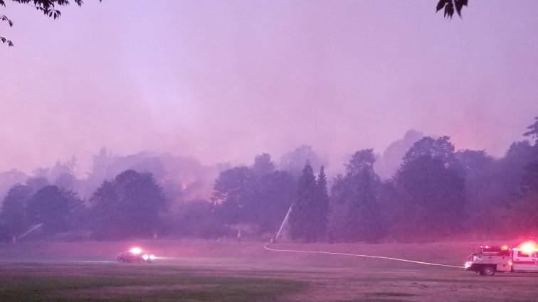 TacomaPD's tweet photo. Officers are assisting Tacoma Fire with traffic control for the Wapato Hills Park fire. Expect delays and possible closures in the area between S 64th St and S 56th St and Tacoma Mall Blvd and S Prospect St. https://t.co/8WdAQ6xBnR