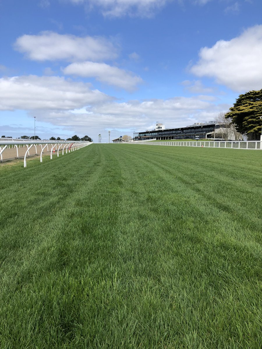 AidanLJolly's tweet photo. Racing @Mornington tomorrow. The tracks currently rated a Good 4 with the rail in the True position 👌🏼 🐎 https://t.co/dXZ1VvSosw