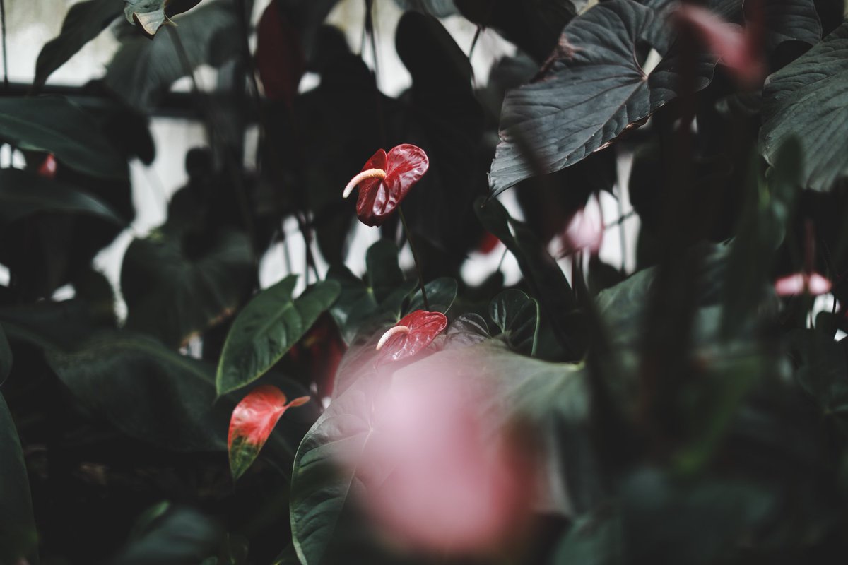 anu_shroff's tweet photo. If we look from a lens of sense-making, each day gives us an opportunity to make sense of what is going on around us. Listen to the webinar on Pause here.
https://t.co/Syx3jrpX3q https://t.co/Baxj0KBVVH