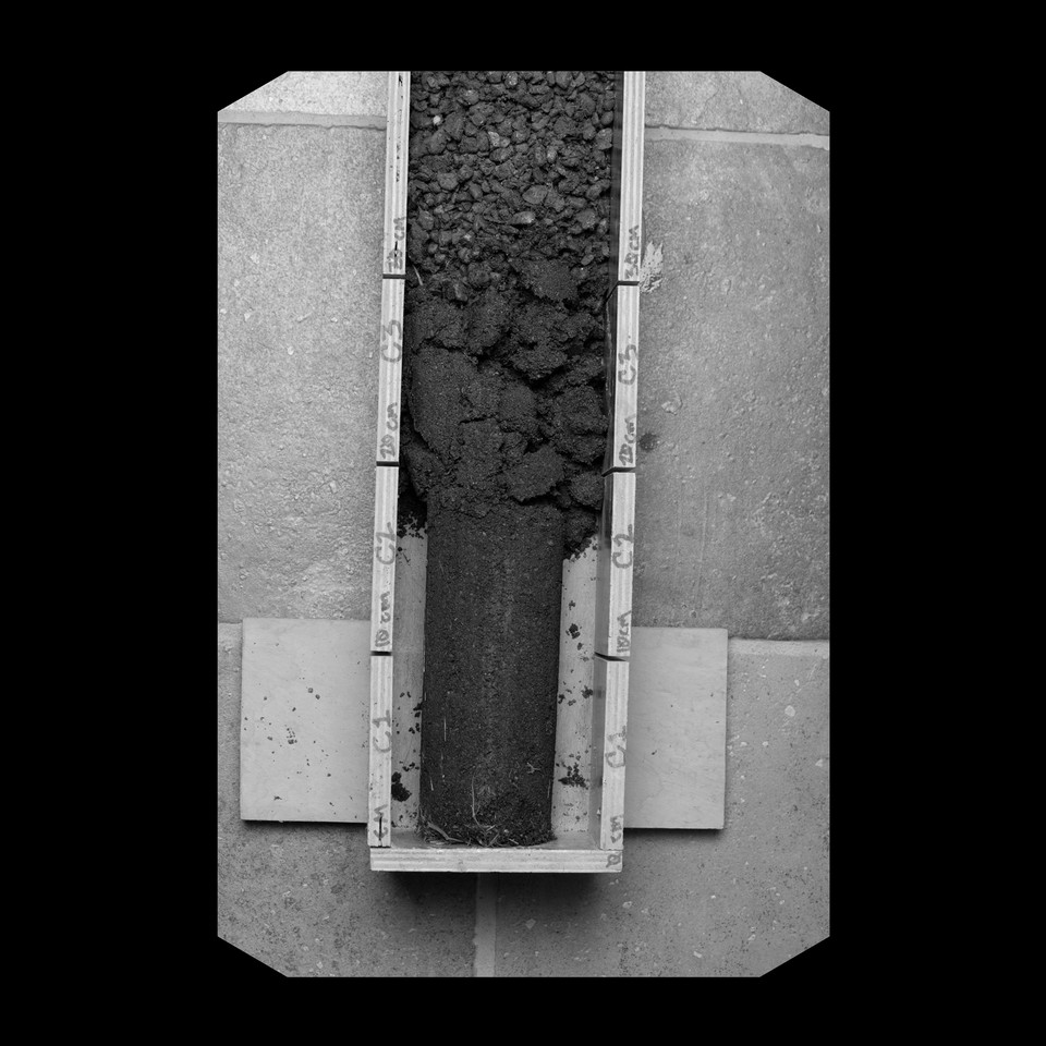 ClimateTRACE's tweet photo. At @HudsonCarbon our soil core measures are deep - more than 3 feet where most measure up to 6 inches. It's important because much of the carbon is captured below 3 feet. ⁠ https://t.co/Fu5FG2RBy9