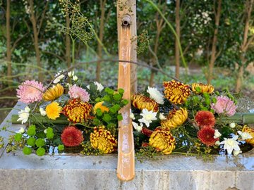 茨城県で見ることのできる 花手水一覧 いつおで