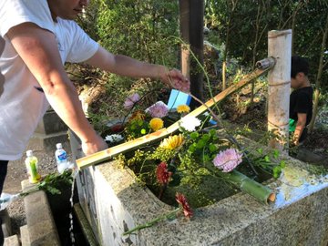 茨城県で見ることのできる 花手水一覧 いつおで