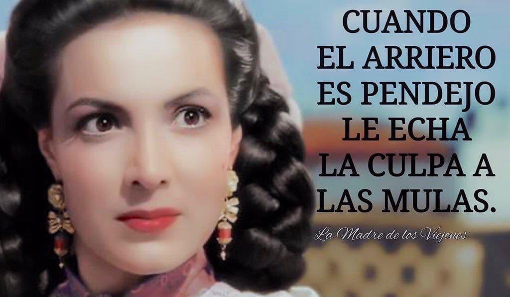 jaralenomarcos's tweet photo. @martinezmau Samy, Samy, Samy. No tienes remedio ni madre!!! https://t.co/nSezfcZau6