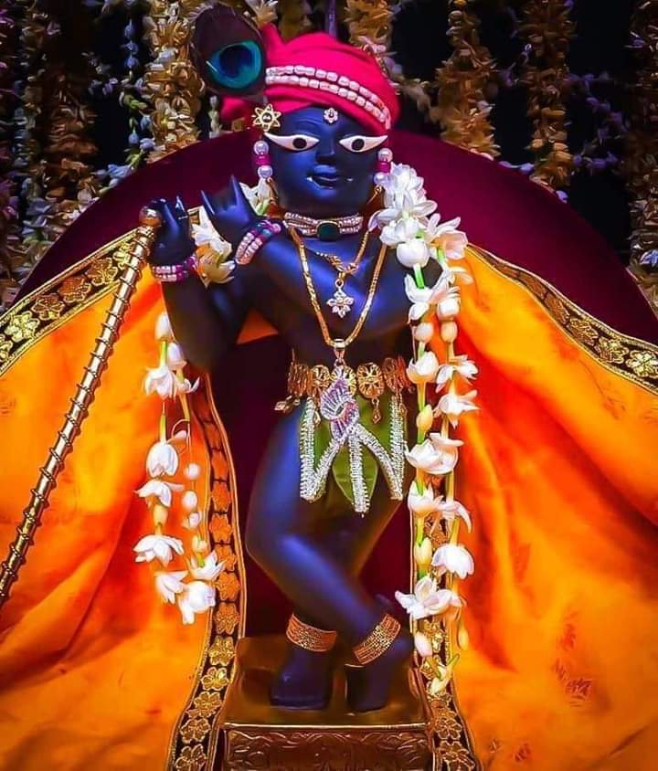 navjeevan77's tweet photo. तू मेरी जिन्दगी है प्यारे....
🙏🙏🙏
दिलदार तुझे कैसे समझाए.... https://t.co/OMeG3FUNrS