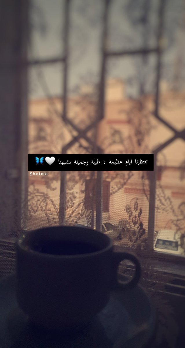 شيماء🇸🇦 tweet media