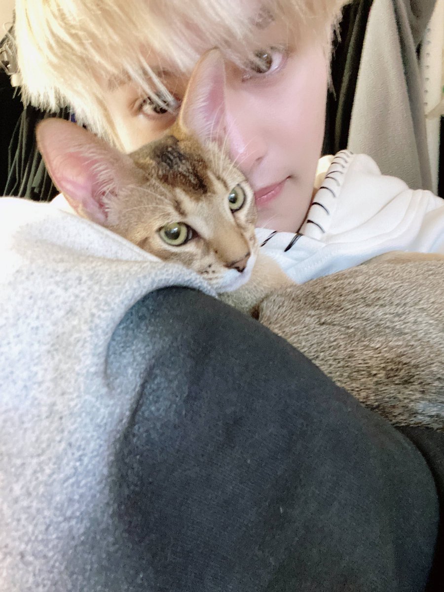 yangyang: "you are perfect"