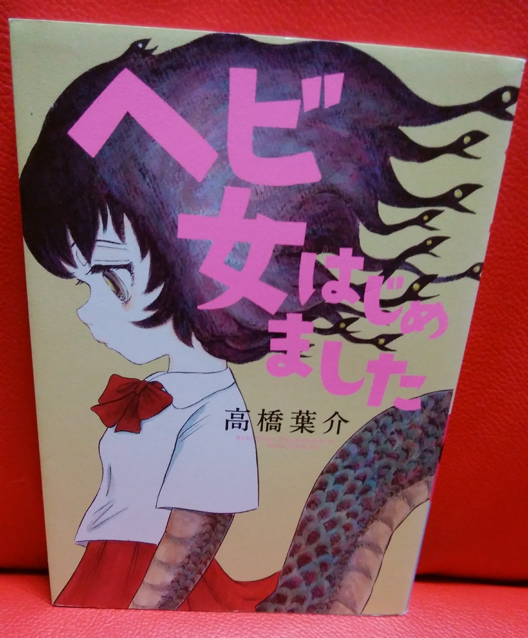 緑の五寸釘 No Twitter 高橋葉介 拝む女 怪談専門誌 幽 に掲載された作品を収録した へび女はじめました に11篇を追加した15年間の集大成 ユーモラスでシュールで耽美で奇妙な掌編がこれでもかと詰まっており最高 ここには全てがある やはりホラー漫画は短編で