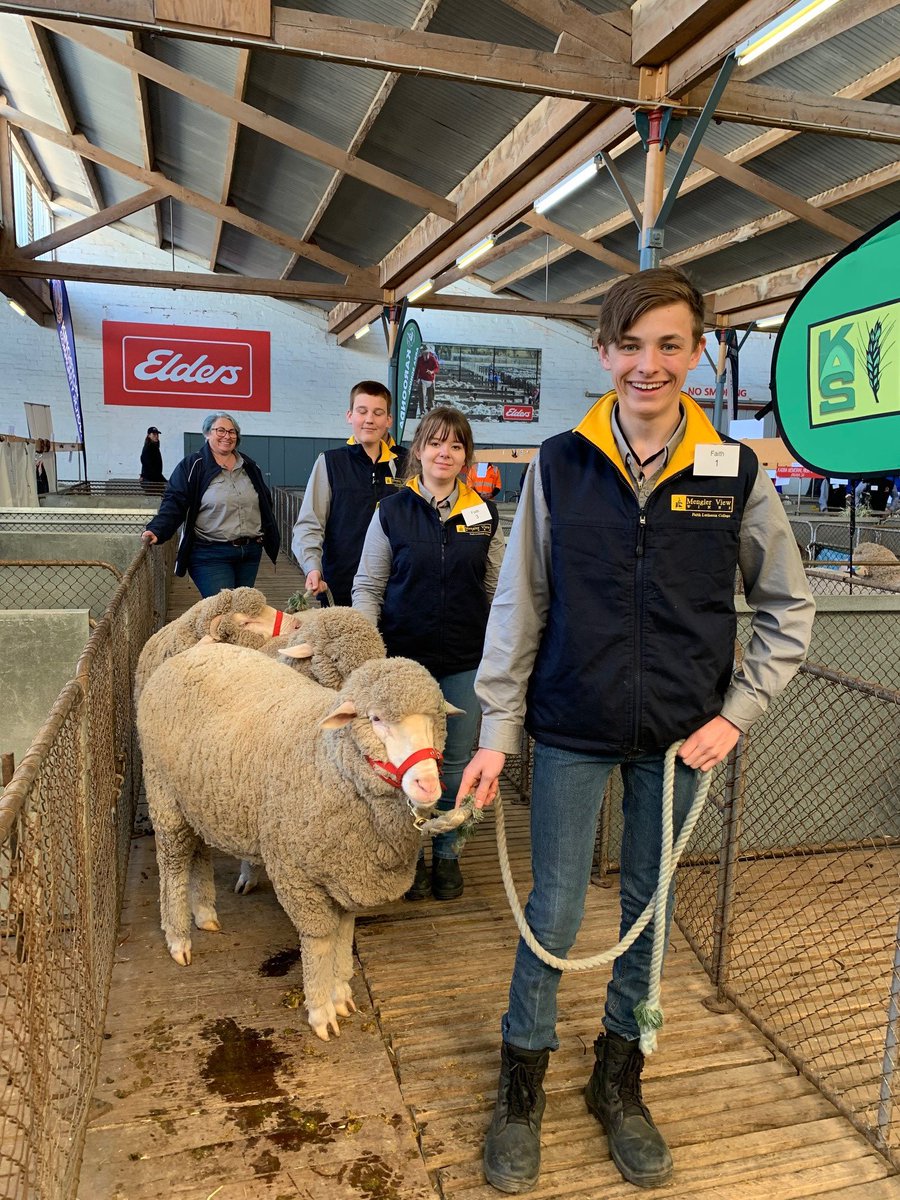 Royal Adelaide Show Adelaideshow Twitter
