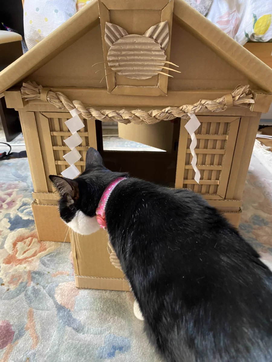 父親が段ボールで作成した！？神的な猫神社の誕生！！