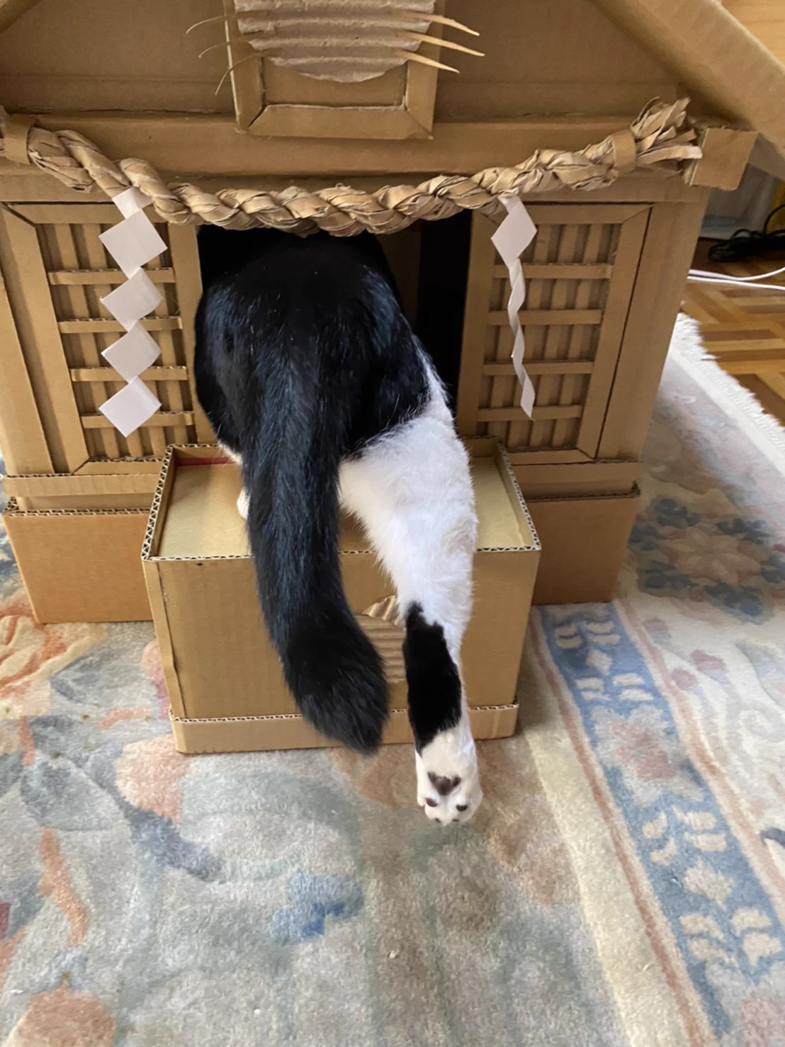 父親が段ボールで作成した！？神的な猫神社の誕生！！