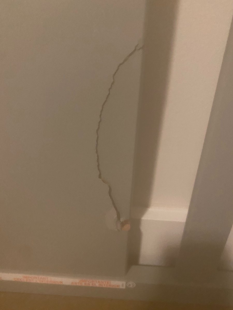 Dave Shepley tweet media