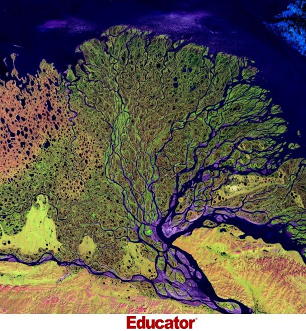 Educator.com tweet media