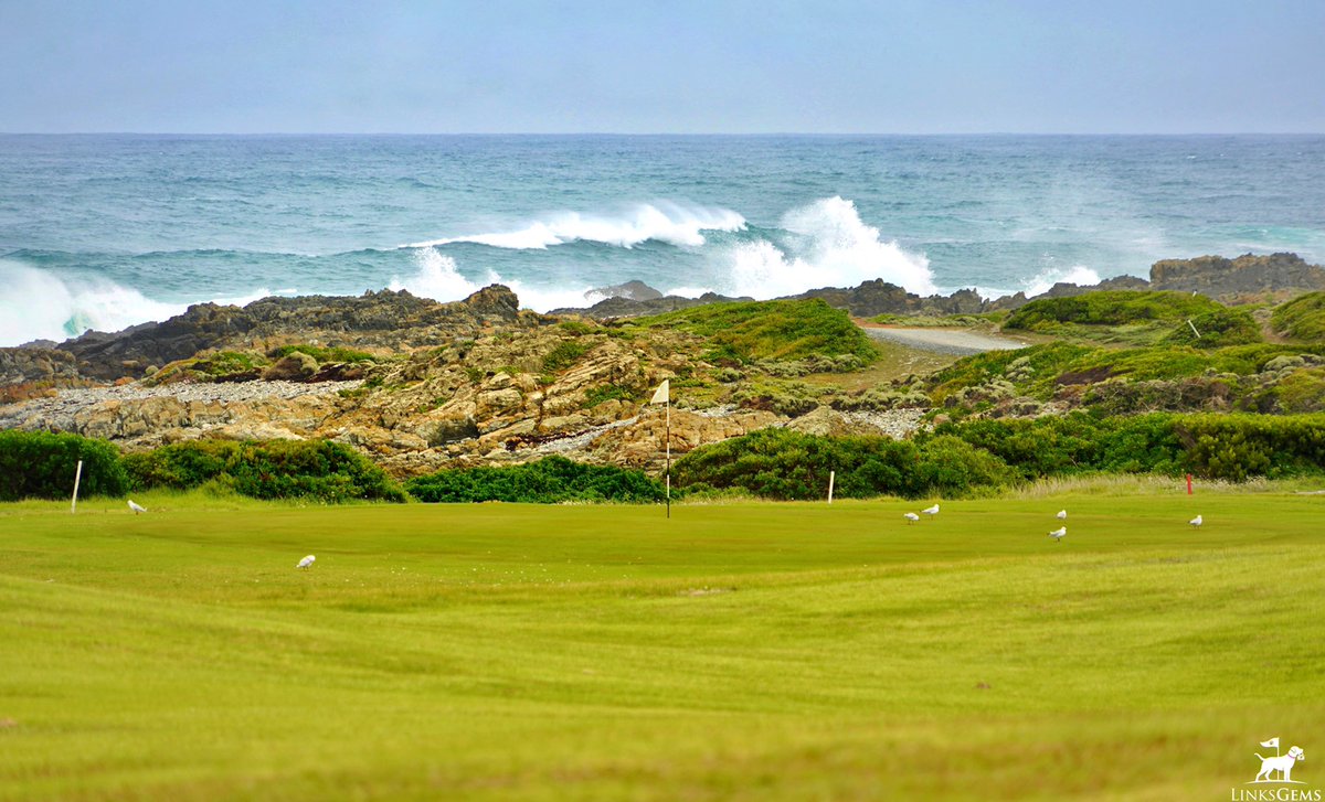 LinksGems's tweet photo. On King Island, Australia, before Cape Wickham in 2015 and Ocean Dunes in 2016, there was King Island Golf &amp; Bowling Club. Built in 1932 by locals and maintained by volunteers, this rugged oceanside links has 12 greens and 17 tees that combine to form a hellaciously fun 18 holes. https://t.co/iVGGEYmcZd