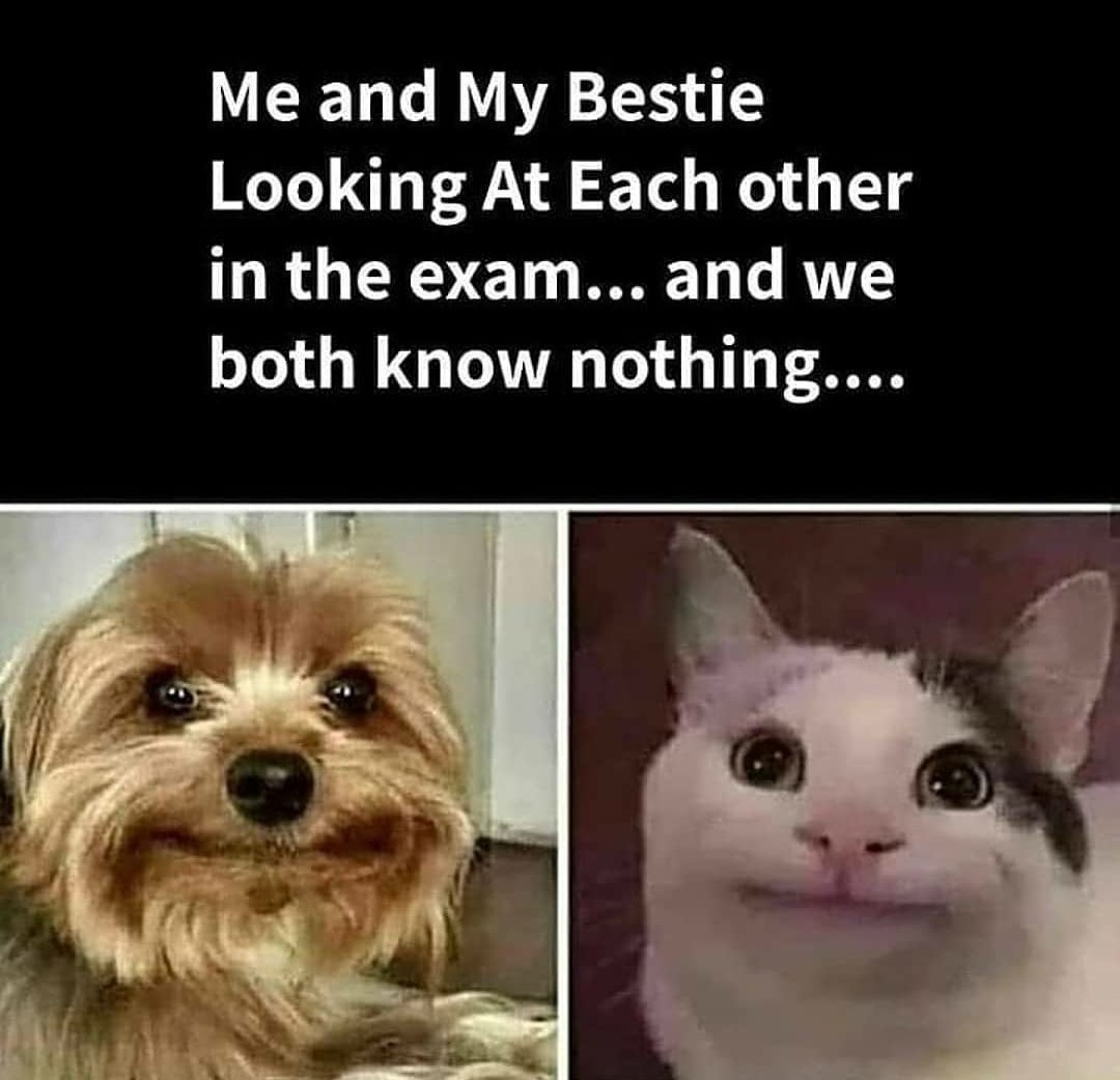 srnsh77's tweet photo. @sarcastic.saransh on Instagram 
.
.
.
.

.
.
.
.
.
.
.
.
.
. #memes #meme #dankmemes #funny #memesdaily #funnymemes #follow #lol #love #humor #tiktok #like #ol #instagram #dank #comedy #explorepage #fun #dailymemes #viral #followforfollowback #lmao #edgymemes #offer https://t.co/7mLKJ4JDy2