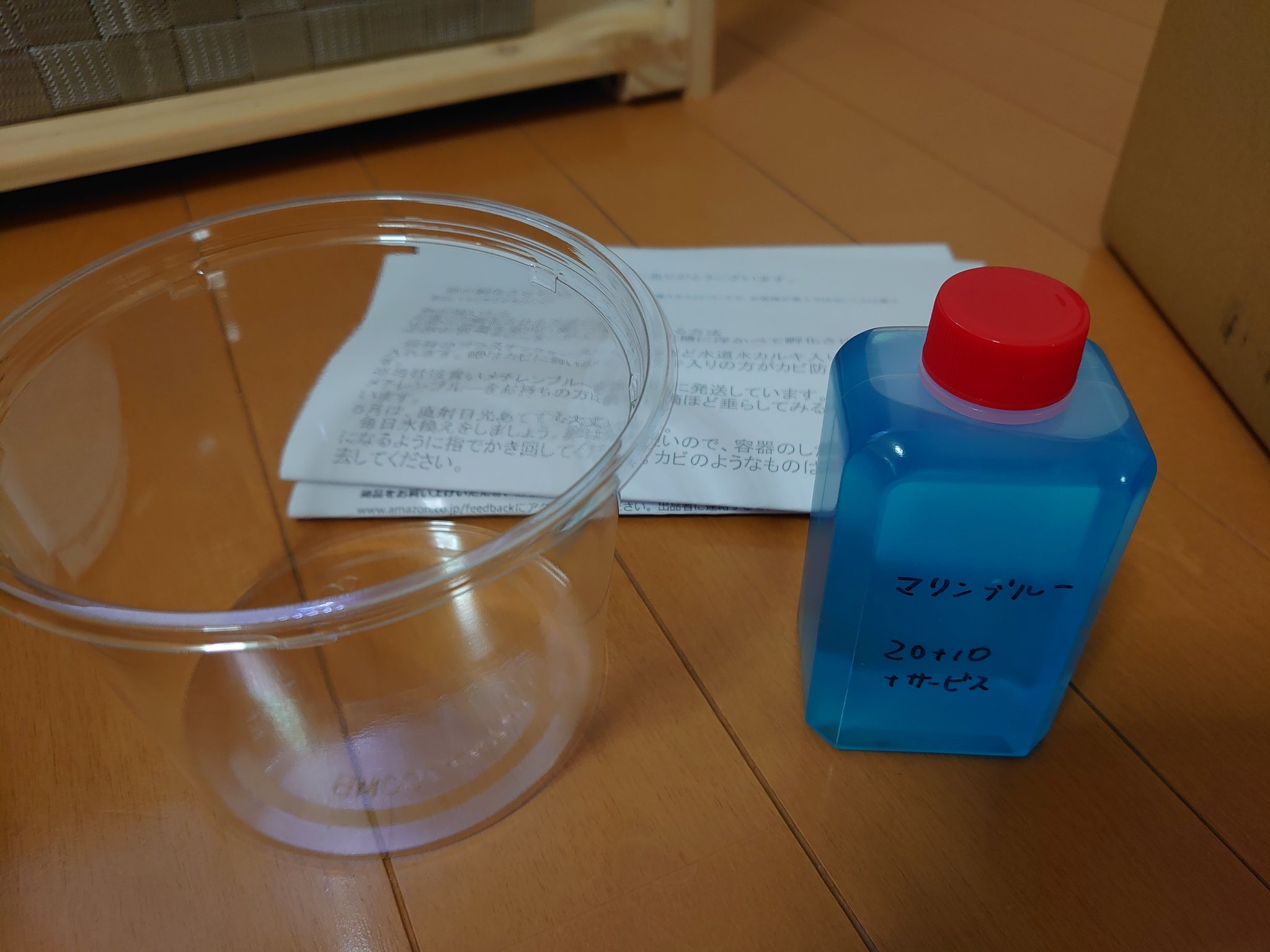しょうご アマゾンで注文してたメダカのマリンブルーの卵が届きました 箱の中には説明書とプラスチックケースとマリンブルー入りの メチレンブルーが入ってました メチレンブルーに浸かっていたせいか卵が青に染まっちゃってますw頑張って孵化させれるよう しょうご アマゾンで注文してたメダカのマリンブルーの卵が届きました 箱の中には説明書とプラスチックケースとマリンブルー入りの メチレンブルーが入ってました メチレンブルーに浸かっていたせいか卵が青に染まっちゃってますw頑張って孵化させれるよう