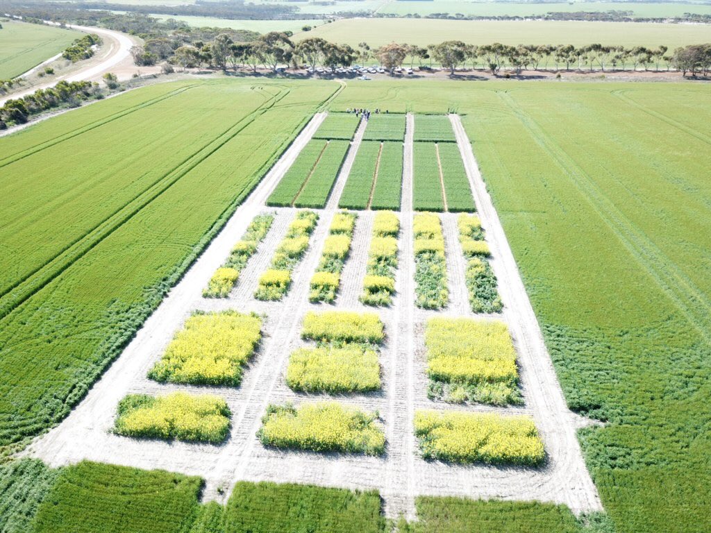 Rob Hughes tweet media