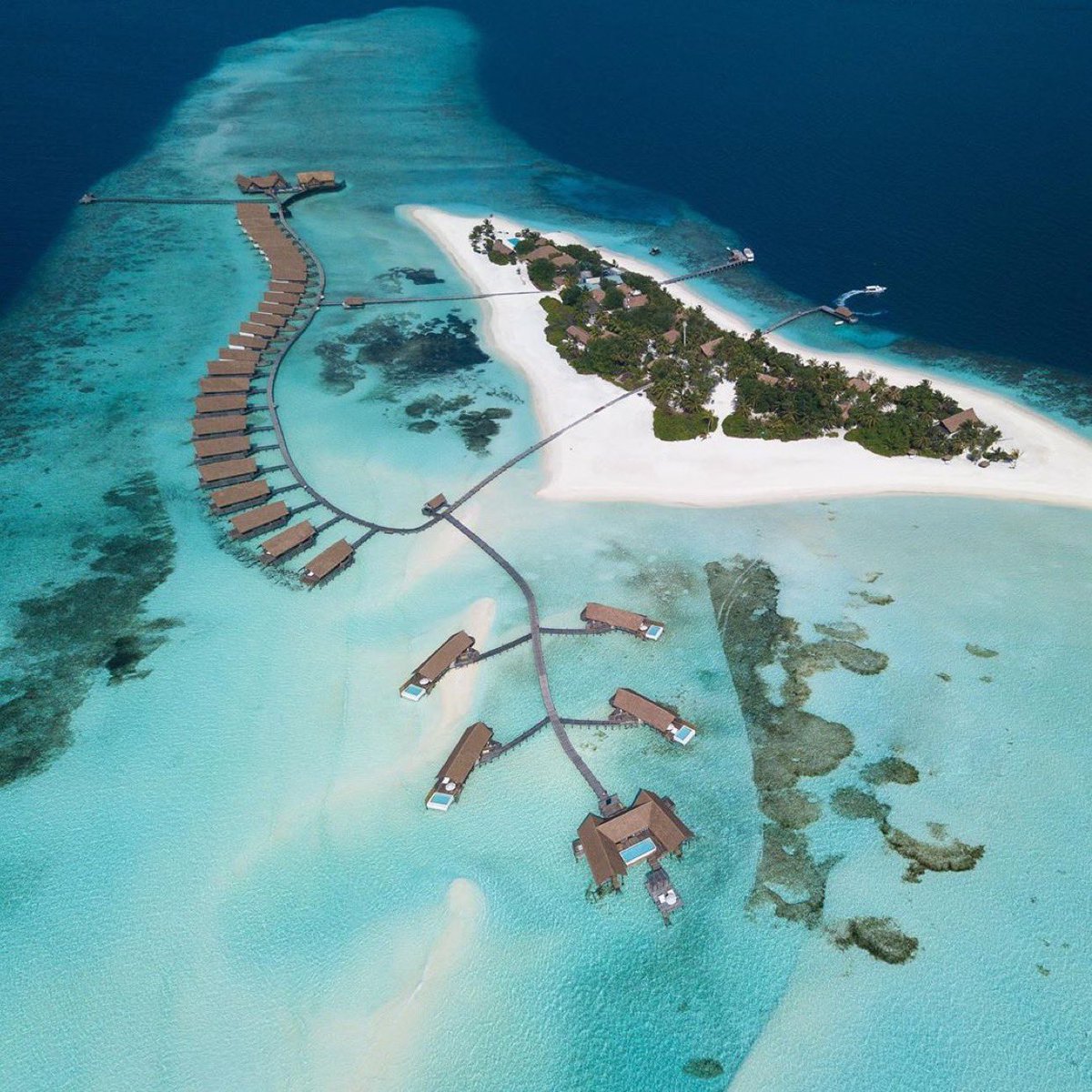 traveltrademv's tweet photo. We look forward to welcoming you once again to the shores of our private island jewel in the heart of Maldivian ocean. Reopened September 1st, enjoy unparalleled luxury and a peaceful paradise at COMO Cocoa Island.
#COMOCocoaIsland #Maldives
Repost from @COMOHotels IG https://t.co/Uy6lxeAxMd