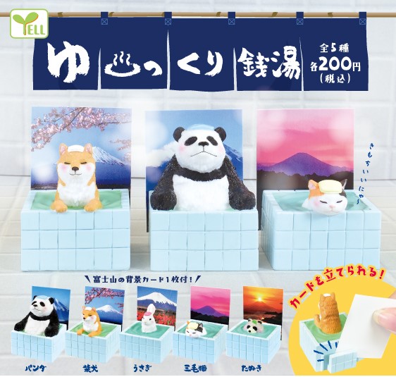 エール カプセルワールド 公式 育てるサボテン ですね 大切に育てていただきとても嬉しいです ˊ ˋ サボテン君の成長楽しみにしています