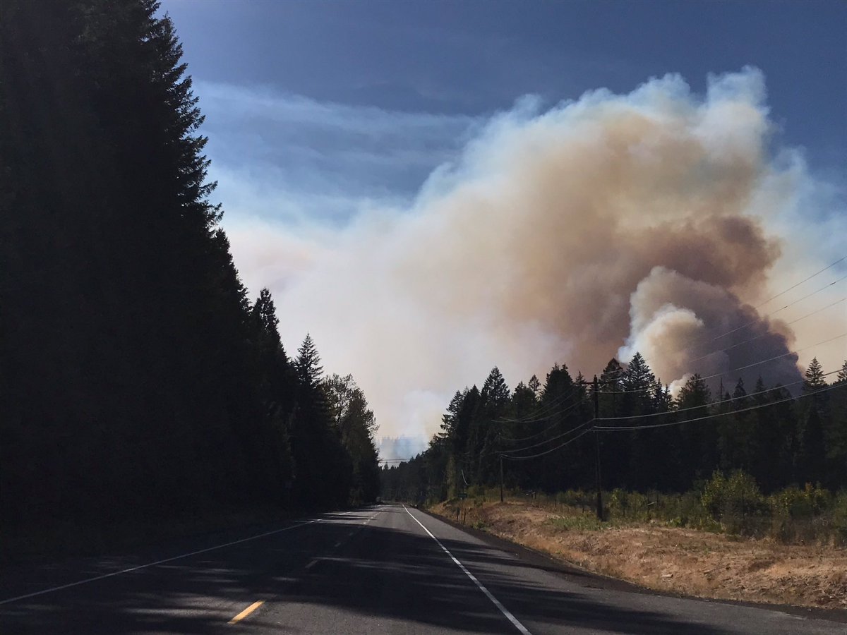 WillametteNatlForest tweet media