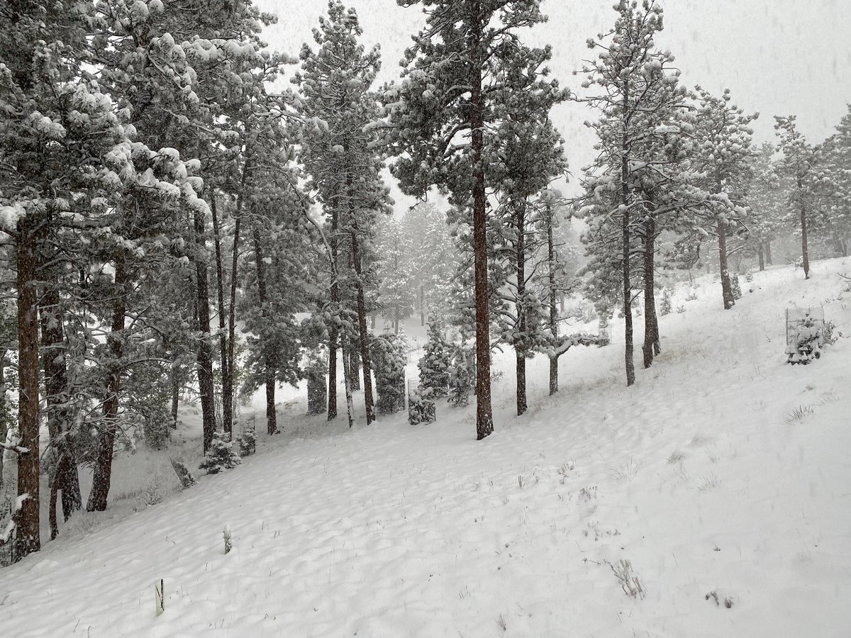 It was 85 degrees here yesterday.