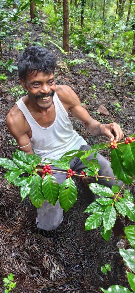 I recall how the tribals of Araku told me in 2000 A.D. that my idea of “education” which was to put their children in a walled classroom to be “taught” by a “teacher” won’t work as learning is borderless & continous! We used that to train all coffee farmers in open farms! (14/n)